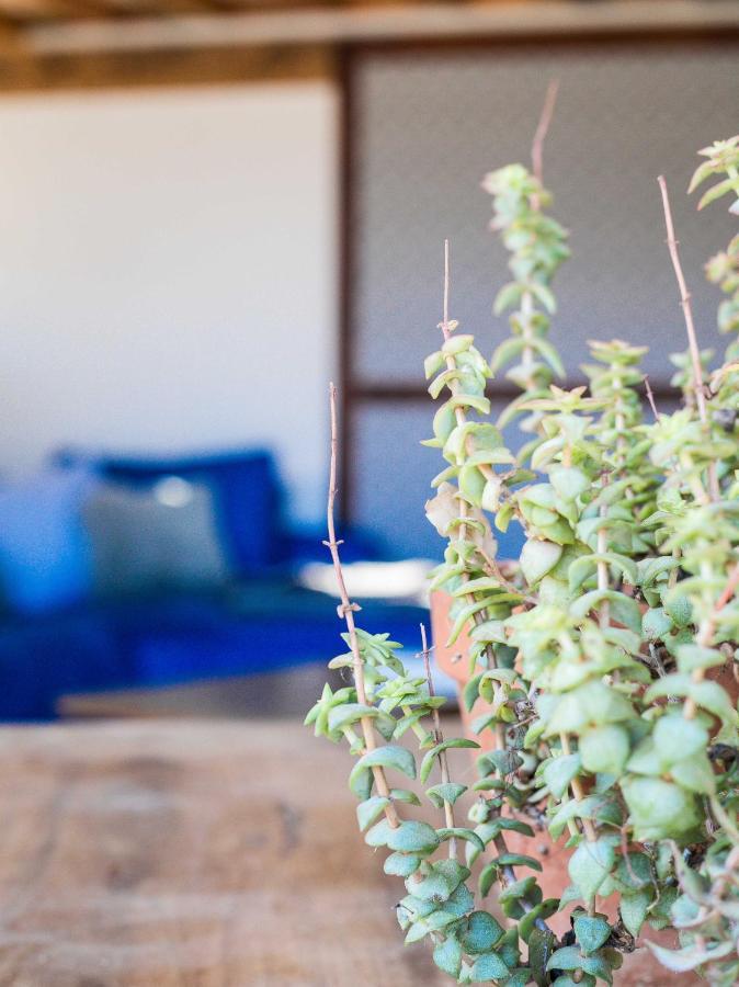 Eco Lodge Carbonaccio Chiatra ภายนอก รูปภาพ